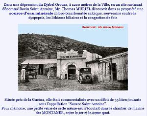 ORANIE SOURCE ST ANTOINE D ARZEW DE M. THOMAS MURIEL